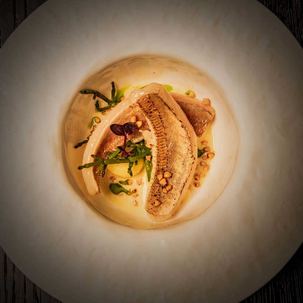 Red gurnard from the Chef’s menu