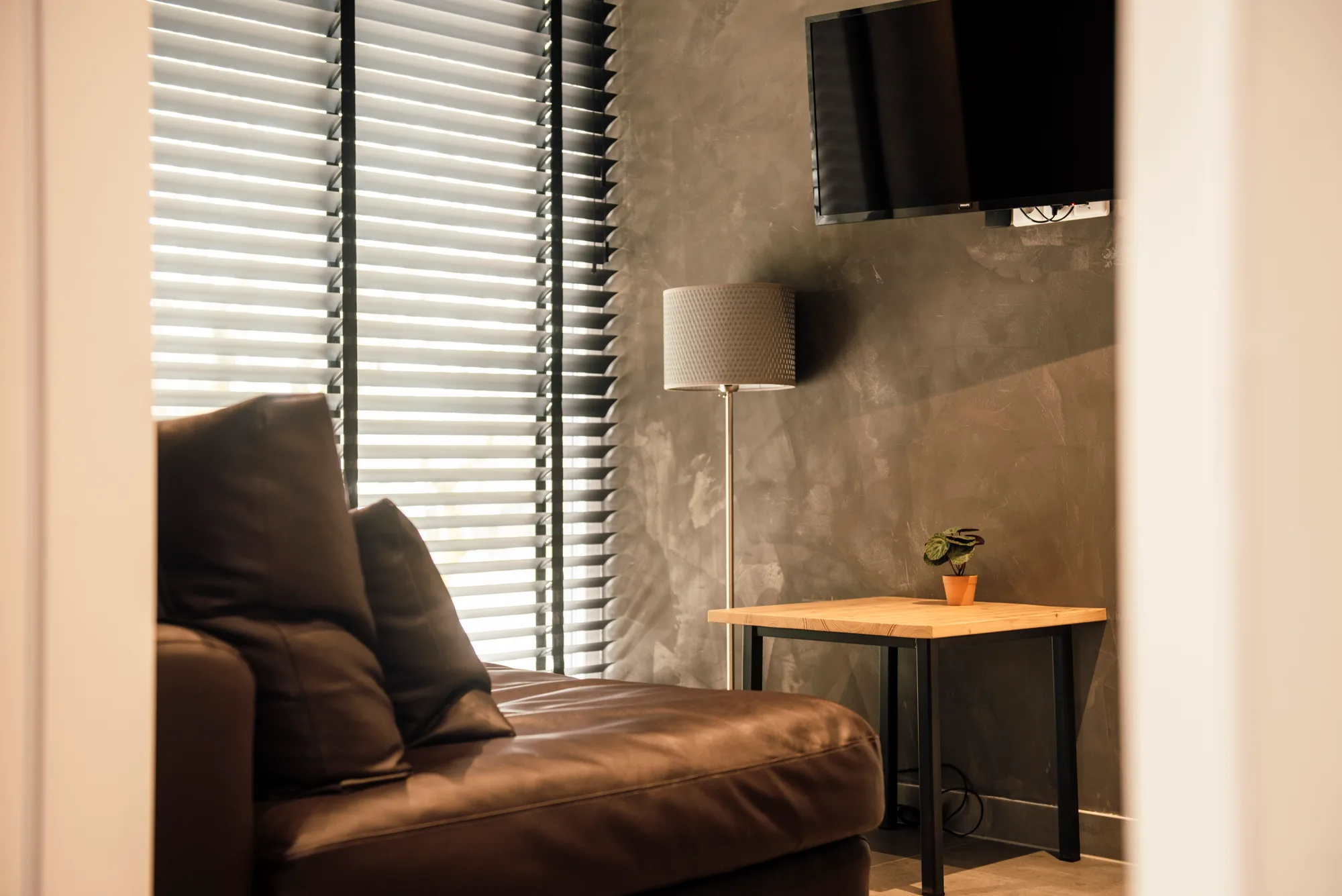 Suite, photo 3