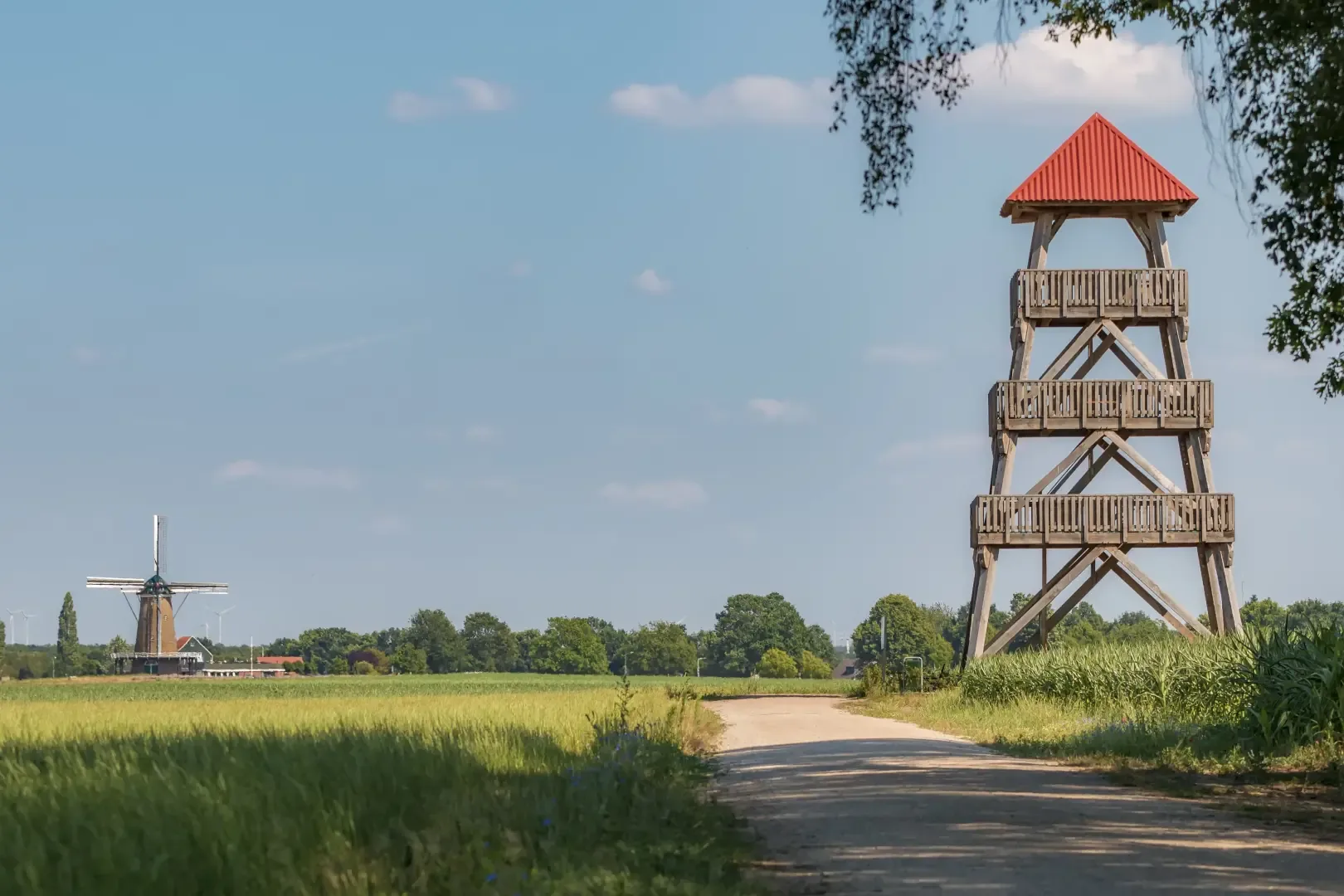 Der Needse Berg: Turm und Mühle