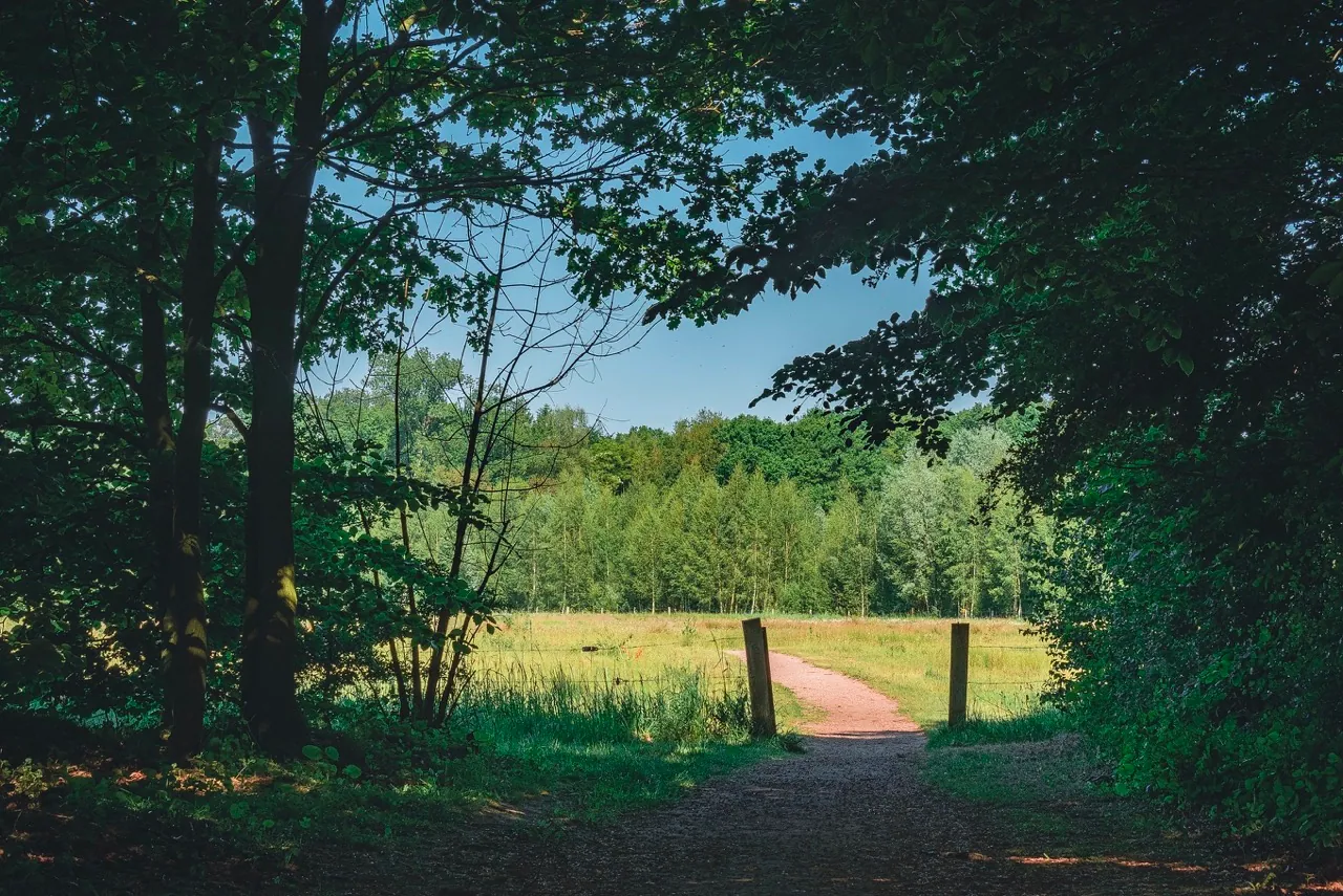 Ein Halt bei einer Wanderung oder Radtour